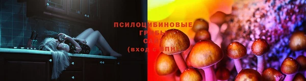 каннабис Баксан