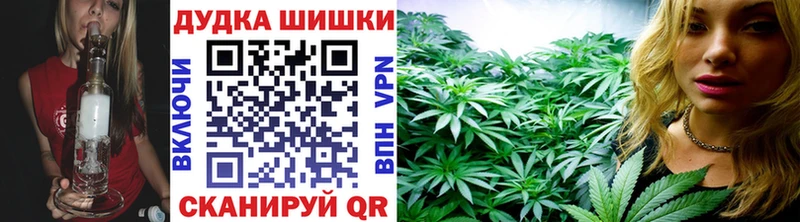 Бошки марихуана White Widow  купить наркоту  Опочка 